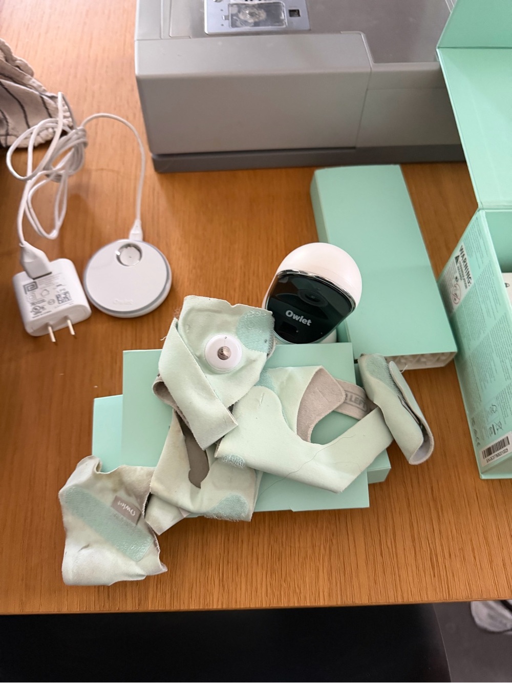 Owlet dream duo 2